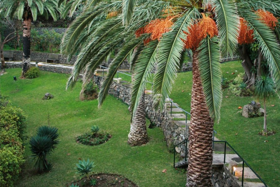 Baía Madeira Hotel