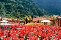 Pestana Quinta do Arco & Rose Garden Hotel