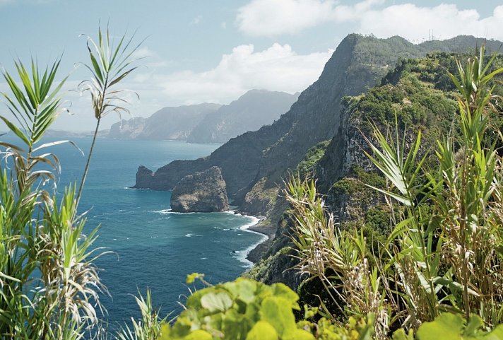Madeira - Grüne Trauminsel im Atlantik - Madeira