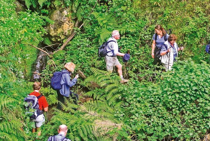 Madeira - Grüne Trauminsel im Atlantik