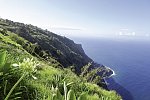 Rund um Madeira