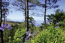 Rund um Madeira