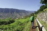 Rund um Madeira