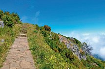 Rund um Madeira
