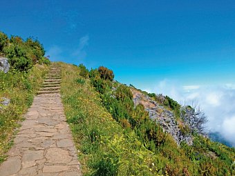 Rund um Madeira