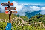 Rund um Madeira