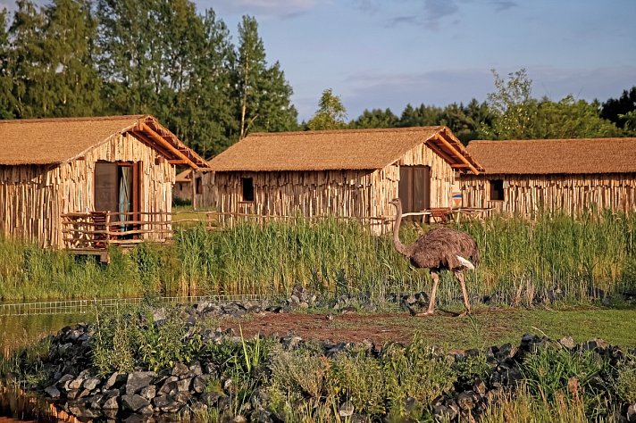 Serengeti Park Lodge