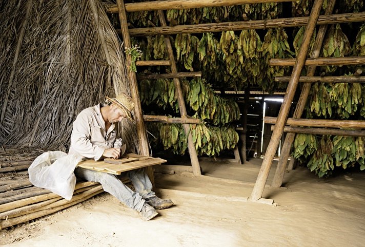 A lo Cubano - Viñales