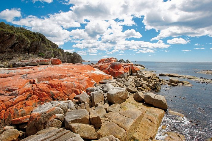 Höhepunkte Tasmaniens Ostküste
