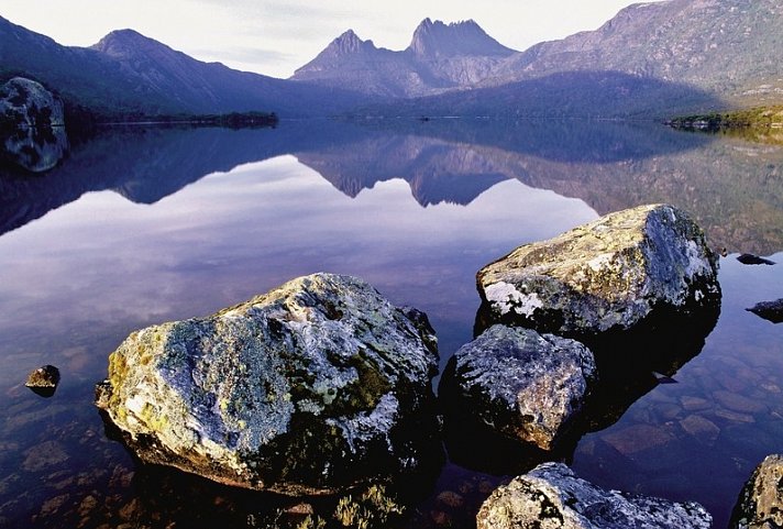 Höhepunkte Tasmaniens Westküste - Lake Dove, Cradle Mountain