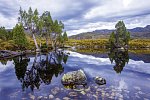 Tasmaniens Wildnis & Wildlife