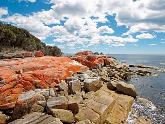 Tasmaniens Wildnis & Wildlife - Bay of Fires