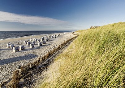 Inselhopping Nordfriesland Hattstedtermarsch