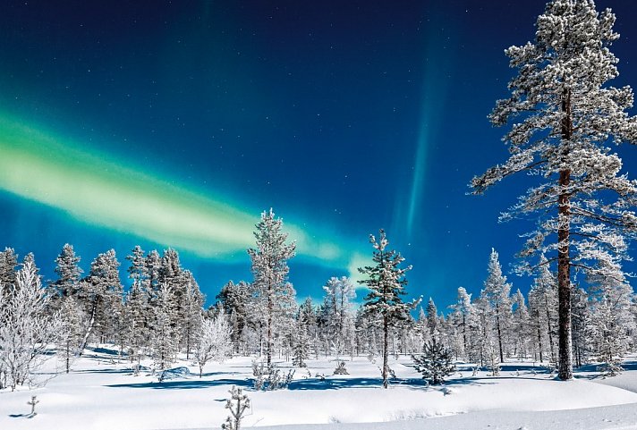 Von der Hauptstadt zum Polarlicht