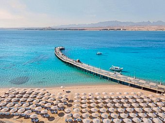 SRNTY Sahl Hasheesh