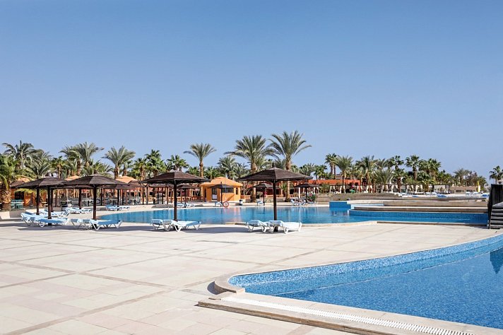 Calimera Blend Paradise