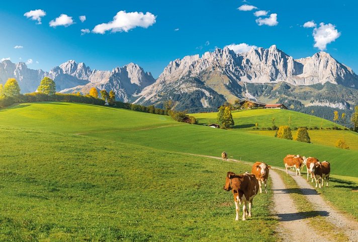 Alpenüberquerung vom Wilden Kaiser zum Großglockner