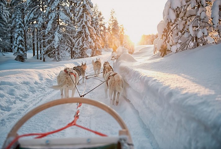 Wintertraum am Inarisee 5 Nächte - Husky-Safari