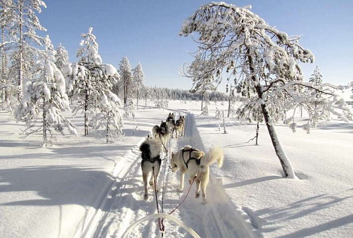 Wintertraum am Inarisee 5 Nächte