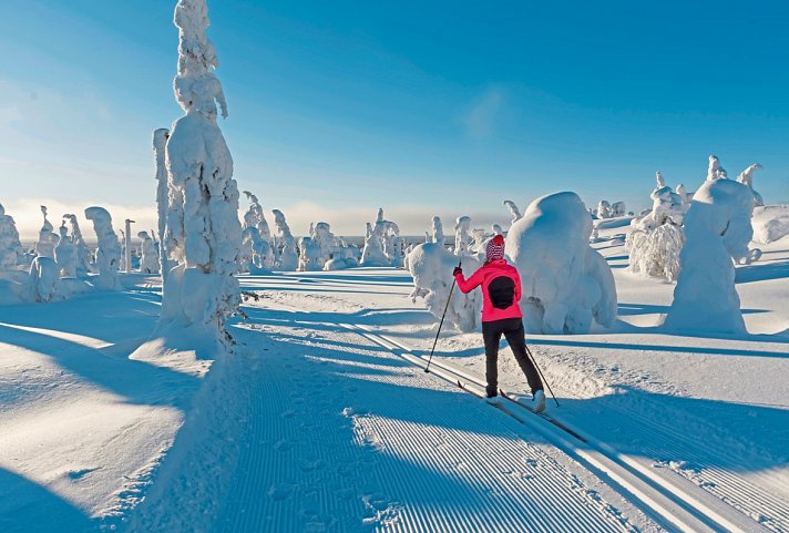 Lappland Deluxe - 4 Nächte - Langlauf - Lappland