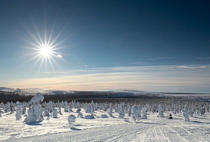 Wintererlebnis Saariselkä - Schneemobilsafari bei Saariselkä