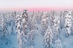 Zu Gast in Lapplands Goldgräberdorf