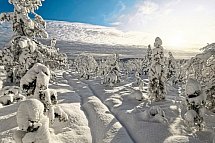 Zu Gast in Lapplands Goldgräberdorf