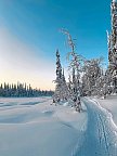 Zu Gast in Lapplands Goldgräberdorf