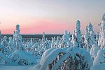 Zu Gast in Lapplands Goldgräberdorf