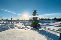 Zu Gast in Lapplands Goldgräberdorf