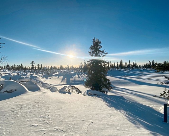 Zu Gast in Lapplands Goldgräberdorf