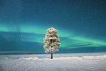 Wildnis unter dem Polarlicht - Inari
