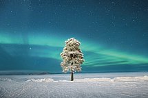Wildnis unter dem Polarlicht - Inari - Polarlicht über dem Inarisee