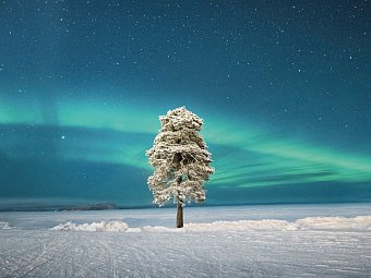 Wildnis unter dem Polarlicht - Inari - Polarlicht über dem Inarisee