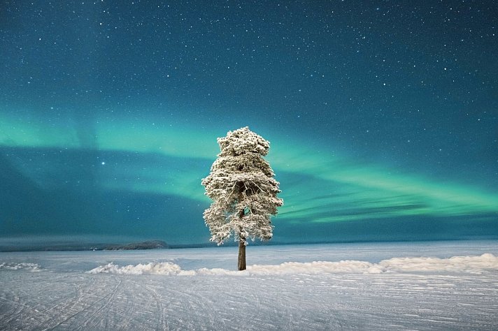 Wildnis unter dem Polarlicht - Inari