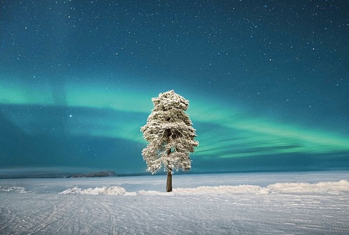 Wildnis unter dem Polarlicht - Inari - Polarlicht über dem Inarisee