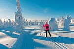 Wildnis unter dem Polarlicht - Muotka