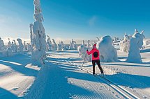 Wildnis unter dem Polarlicht - Muotka - Langlauf - Lappland