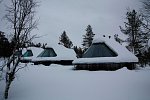 Wildnis unter dem Polarlicht - Muotka