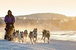Wildnis unter dem Polarlicht - Muotka