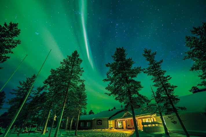 Wildnis unter dem Polarlicht - Muotka