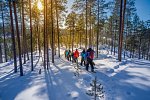 Wildnis unter dem Polarlicht - Muotka