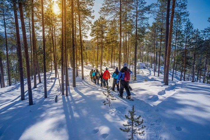 Wildnis unter dem Polarlicht - Muotka