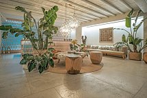 Asty Mykonos Hotel & Spa