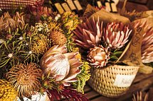 Südafrika à la carte - Kleingruppenreise - Protea