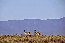 Südafrika à la carte - Kleingruppenreise