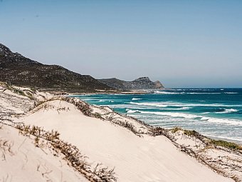 Südafrika à la carte - Kleingruppenreise - Naturreservat, Kapregion