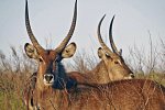 Südafrika à la carte - Kleingruppenreise