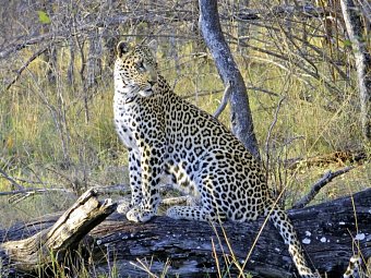 Südafrika à la carte - Kleingruppenreise