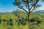Südafrika à la carte - Kleingruppenreise